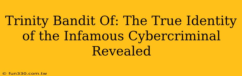 Trinity Bandit Of: The True Identity of the Infamous Cybercriminal Revealed