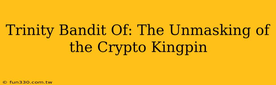 Trinity Bandit Of: The Unmasking of the Crypto Kingpin