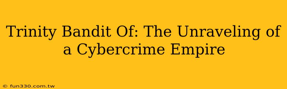 Trinity Bandit Of: The Unraveling of a Cybercrime Empire