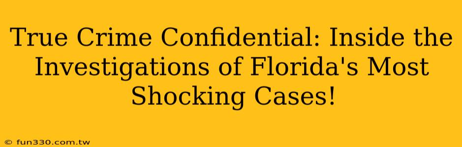 True Crime Confidential: Inside the Investigations of Florida's Most Shocking Cases!