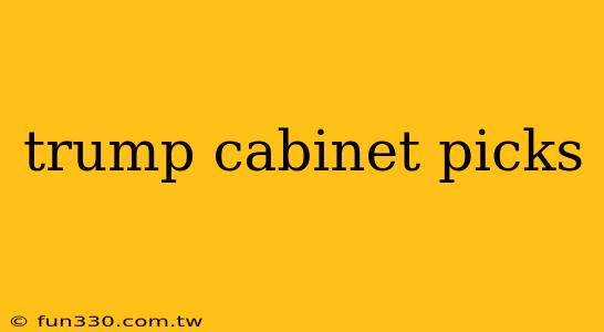 trump cabinet picks