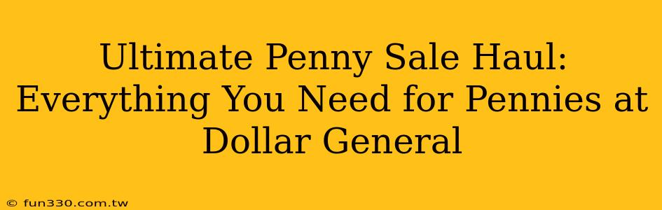 Ultimate Penny Sale Haul: Everything You Need for Pennies at Dollar General