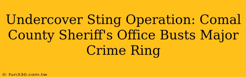 Undercover Sting Operation: Comal County Sheriff's Office Busts Major Crime Ring