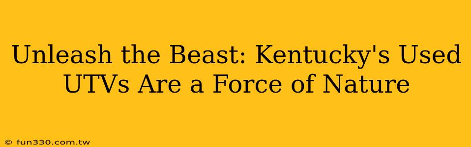 Unleash the Beast: Kentucky's Used UTVs Are a Force of Nature