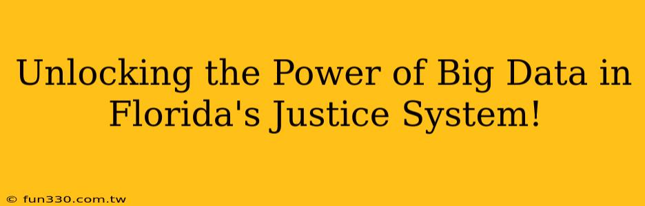 Unlocking the Power of Big Data in Florida's Justice System!