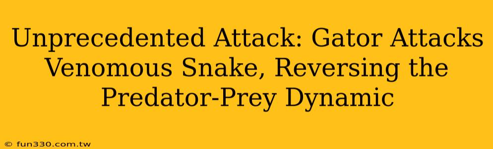 Unprecedented Attack: Gator Attacks Venomous Snake, Reversing the Predator-Prey Dynamic