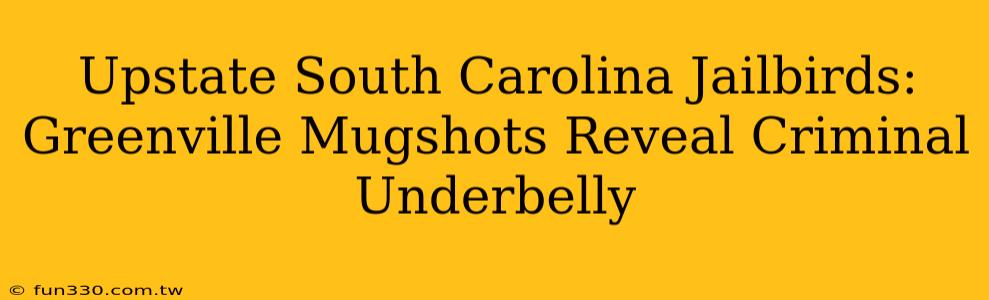 Upstate South Carolina Jailbirds: Greenville Mugshots Reveal Criminal Underbelly