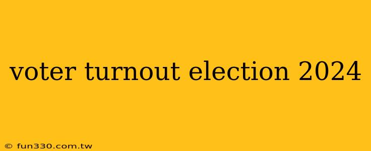 voter turnout election 2024