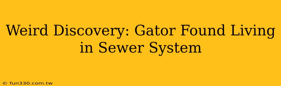 Weird Discovery: Gator Found Living in Sewer System