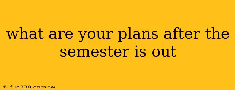 what are your plans after the semester is out