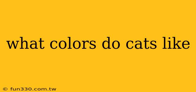 what colors do cats like