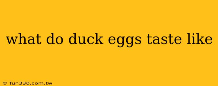 what do duck eggs taste like