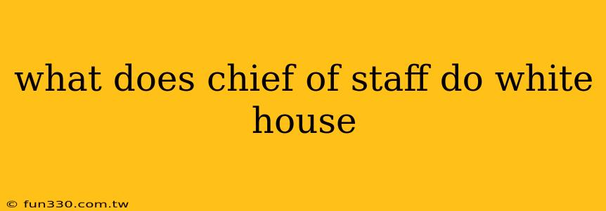 what does chief of staff do white house