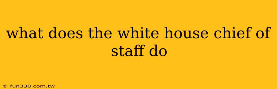 what does the white house chief of staff do