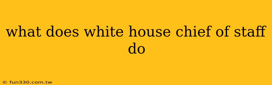 what does white house chief of staff do