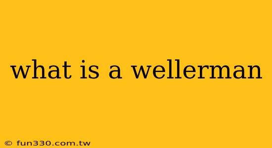 what is a wellerman