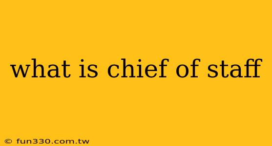 what is chief of staff