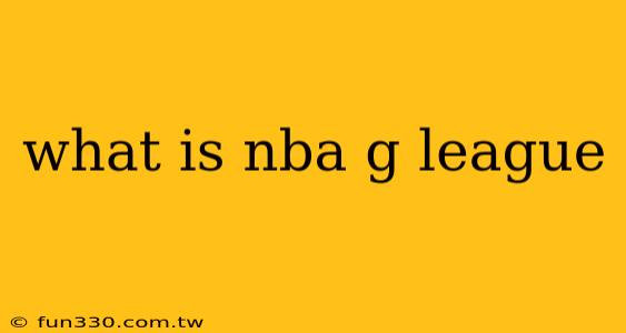 what is nba g league