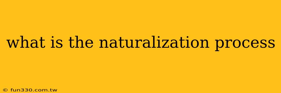 what is the naturalization process