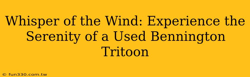 Whisper of the Wind: Experience the Serenity of a Used Bennington Tritoon