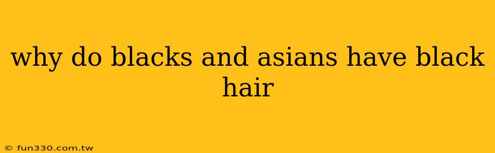 why do blacks and asians have black hair