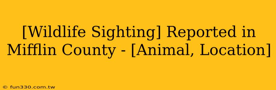 [Wildlife Sighting] Reported in Mifflin County - [Animal, Location]