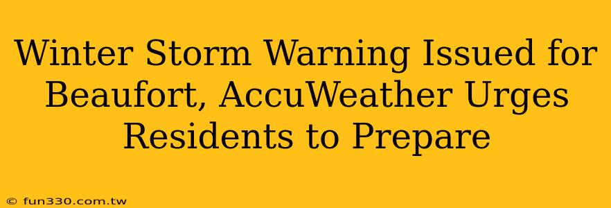 Winter Storm Warning Issued for Beaufort, AccuWeather Urges Residents to Prepare