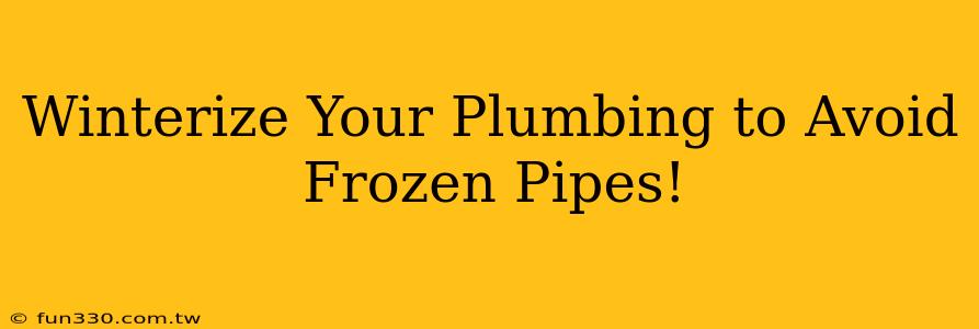 Winterize Your Plumbing to Avoid Frozen Pipes!