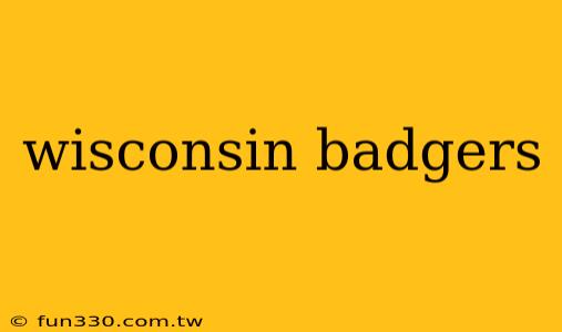 wisconsin badgers