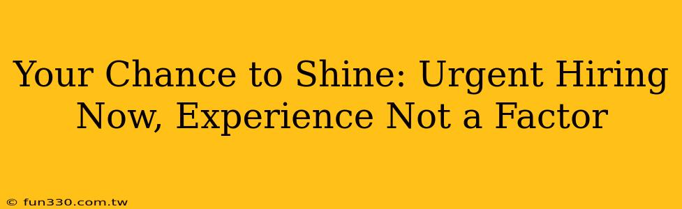 Your Chance to Shine: Urgent Hiring Now, Experience Not a Factor