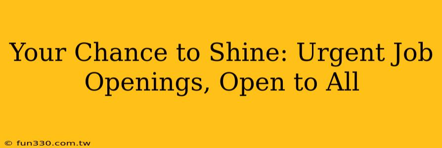 Your Chance to Shine: Urgent Job Openings, Open to All