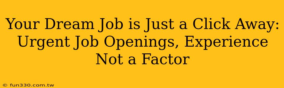 Your Dream Job is Just a Click Away: Urgent Job Openings, Experience Not a Factor