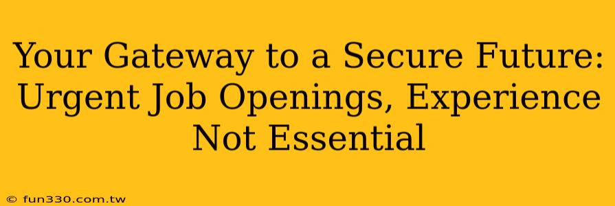 Your Gateway to a Secure Future: Urgent Job Openings, Experience Not Essential