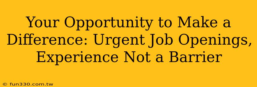 Your Opportunity to Make a Difference: Urgent Job Openings, Experience Not a Barrier